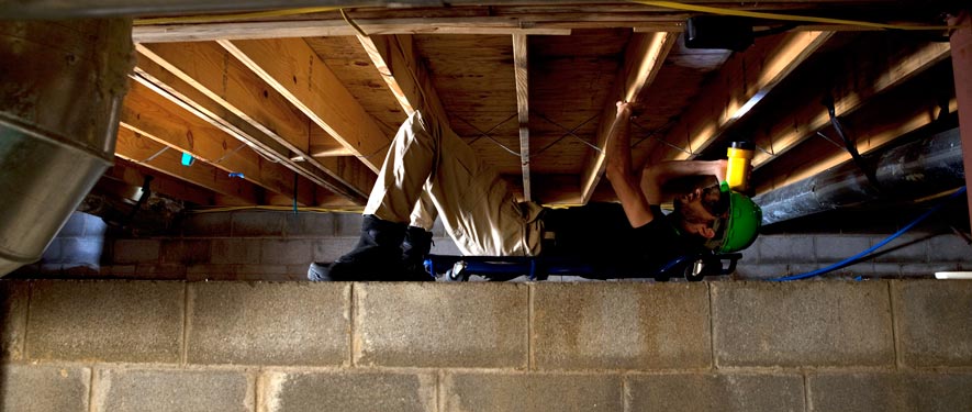 Charlottetown, PE mold removal